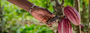 Callebaut-sustainability-winter-campaign-26