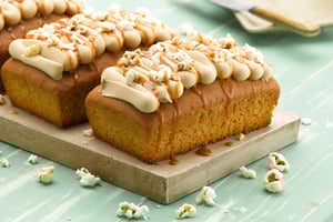 dawn-campaign-winter-leipurin-3-26