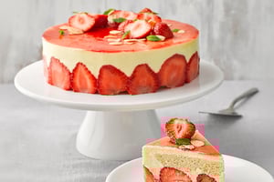 dawn-campaign-winter-leipurin-4-26