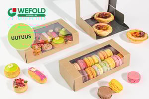 Guillin-campaign-winter-wefold-vision-black-kraft-leipurin